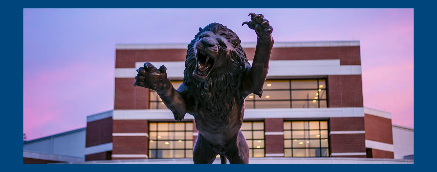 UAFS Basketball